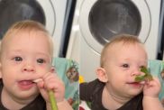 Mom shows how green onions helped her teething baby in viral parenting video