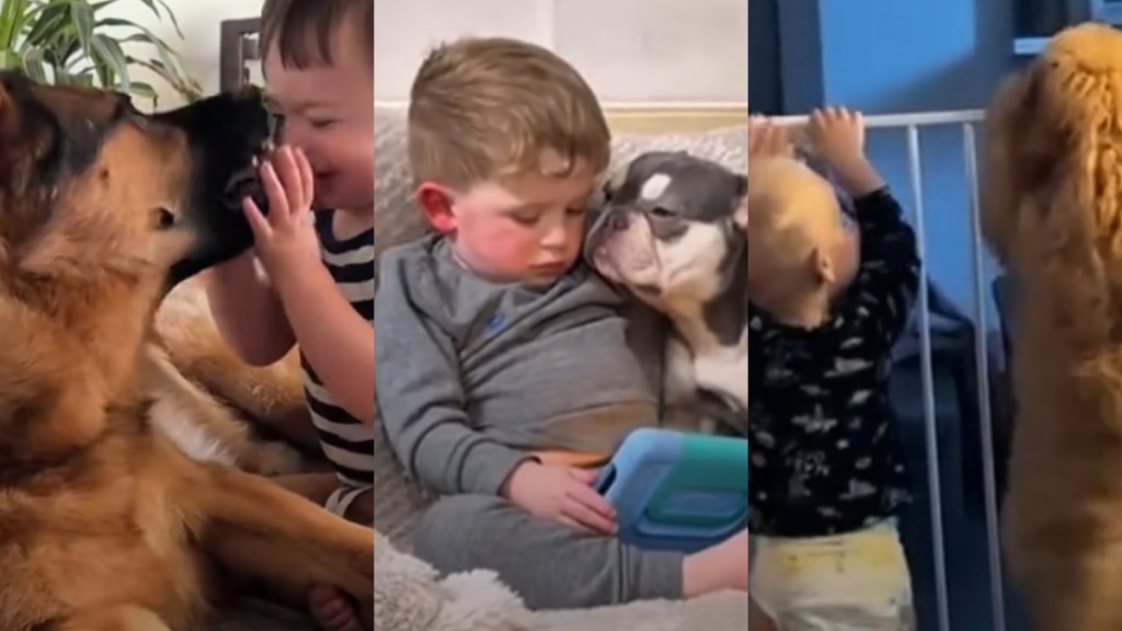 Video: Kids & Dogs Being Adorable Together Are a Bigger Kind of Joy