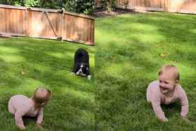 dog zoomies baby laughing video