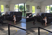 Adorable dog and baby video