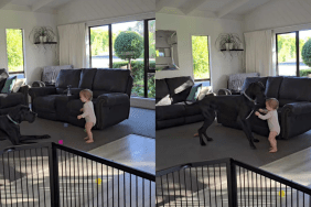 Adorable dog and baby video