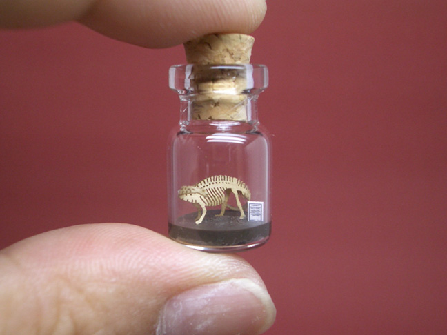 Apatosaurus in a Tiny Bottle 