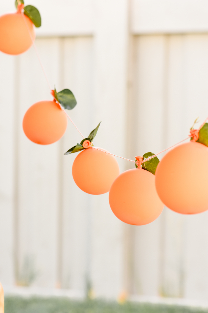 Peach Balloon Garland