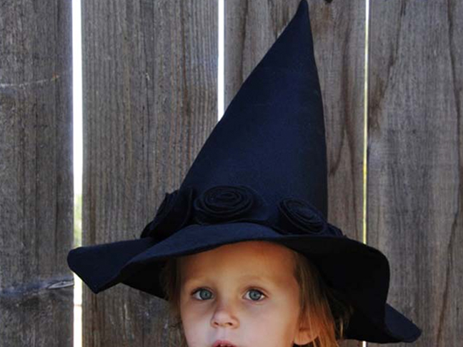 Felt Witches Hat Costume
