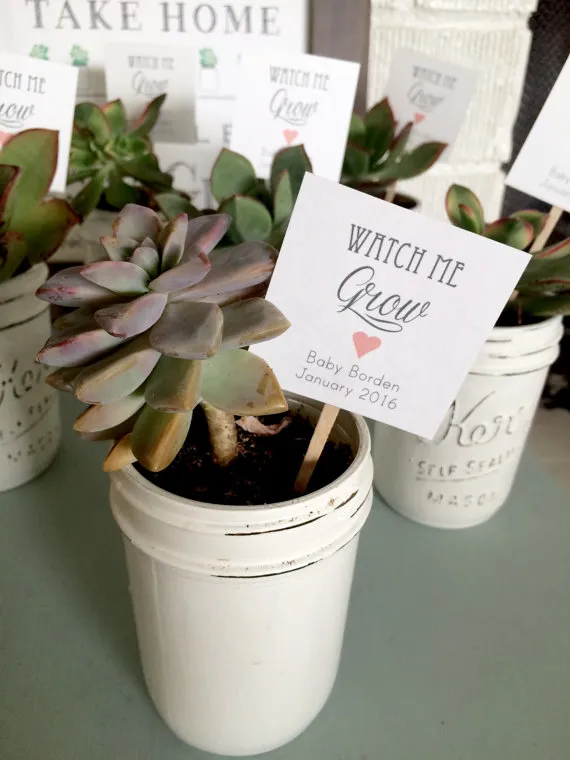 Succulent Watch Me Grown Gift Tags