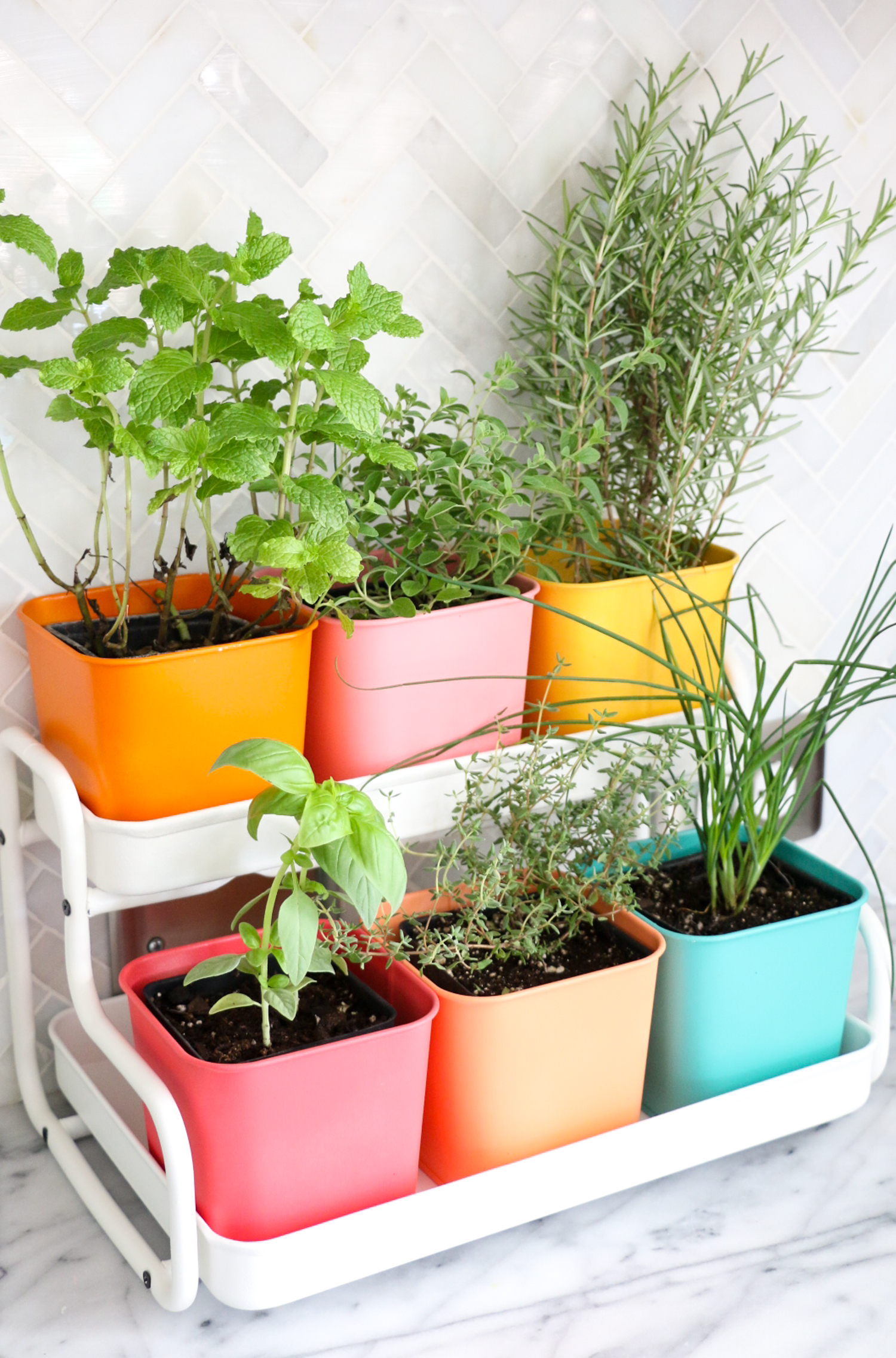 Indoor Herb Garden