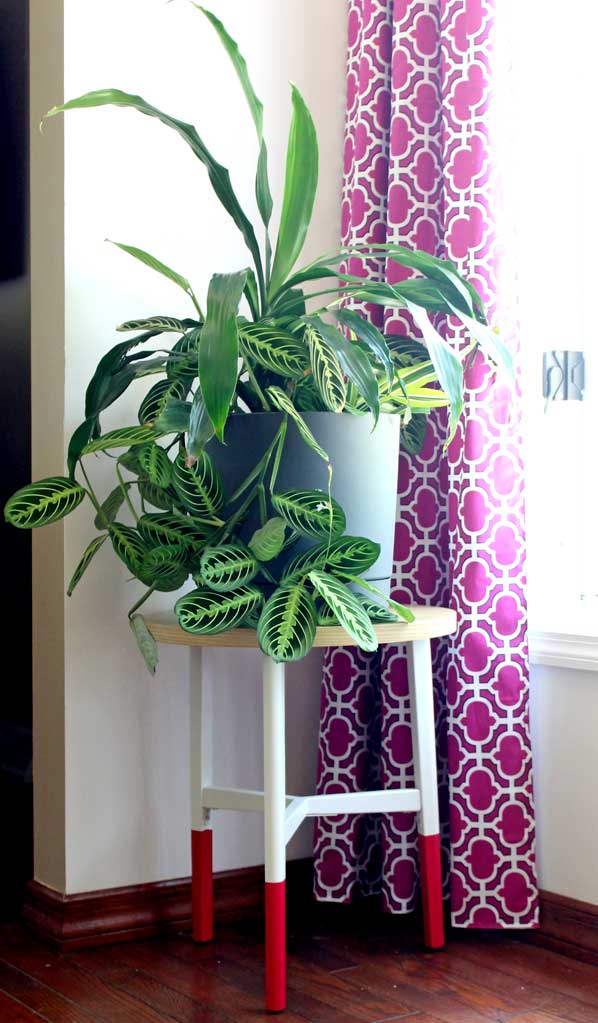 Plant Stand