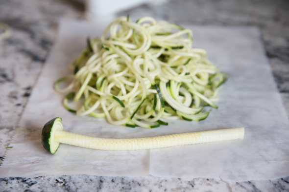 The Basic Zoodle