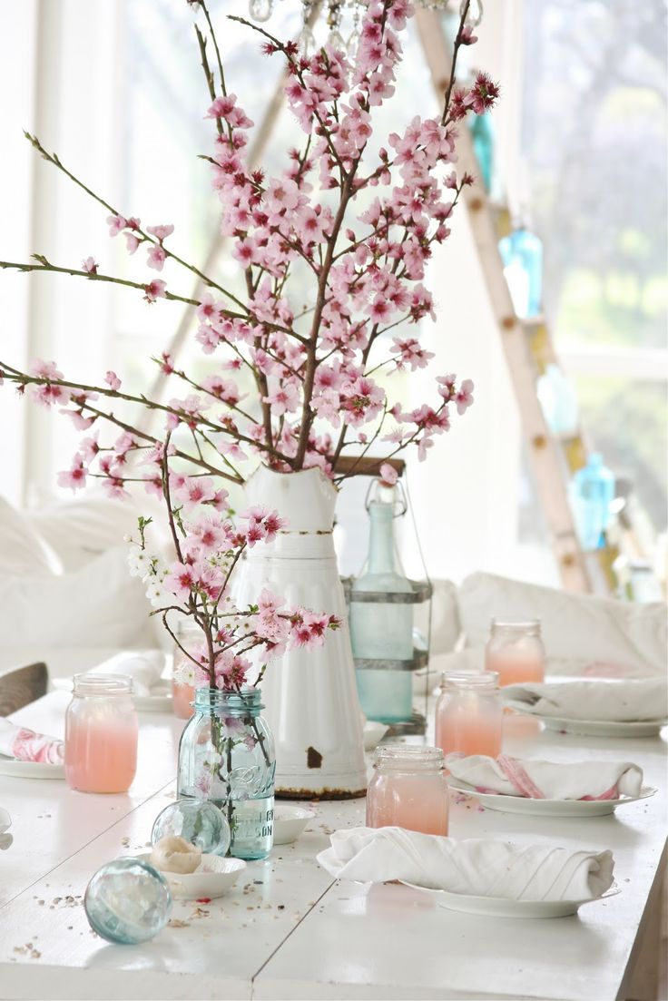 Cherry Blossoms