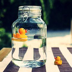 Bottled Rubber Duckies