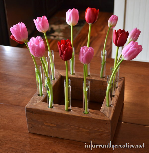 Tulip Box Display