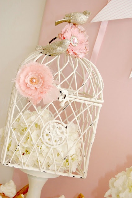 Birdcage