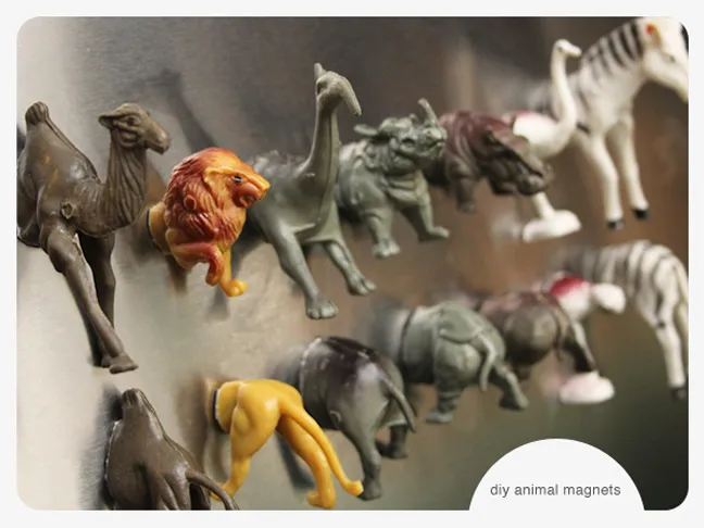 Wild Animal Magnets