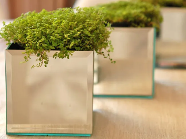  Dollar Store Mirror Planters