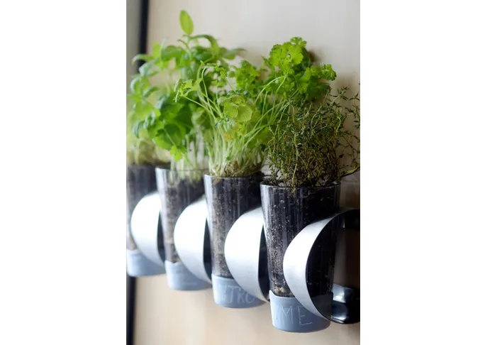 Indoor Herb Garden