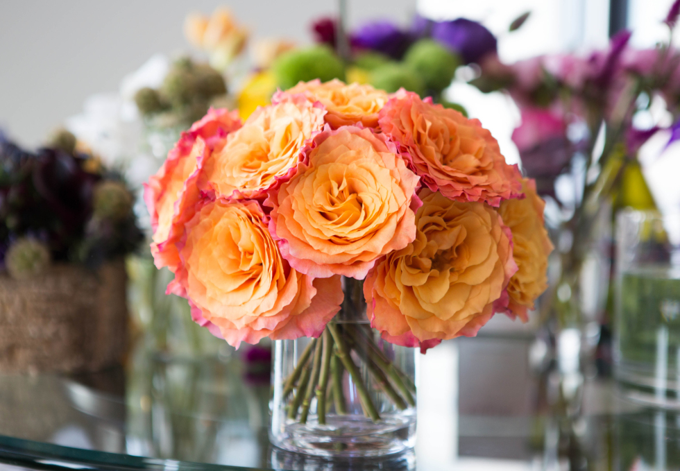 Criss Cross the Stems