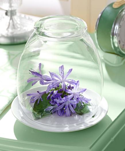Arrange Flowers Under Glass
