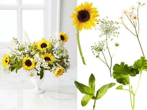 Use Sunflowers