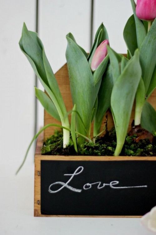 Plant It