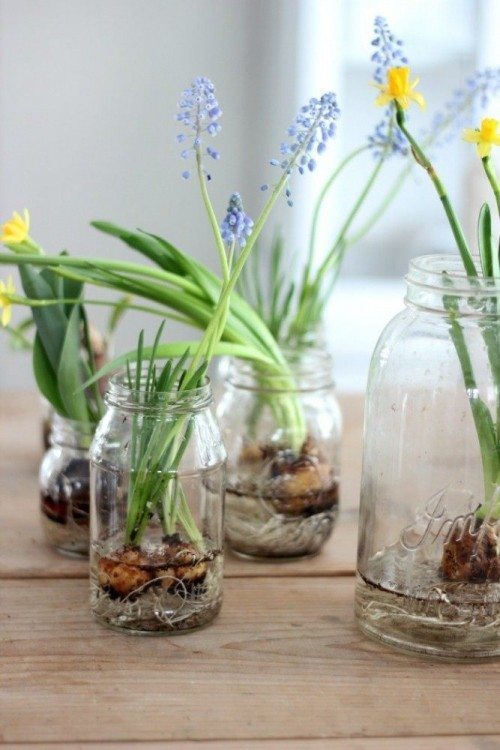 Display Bulbs and All