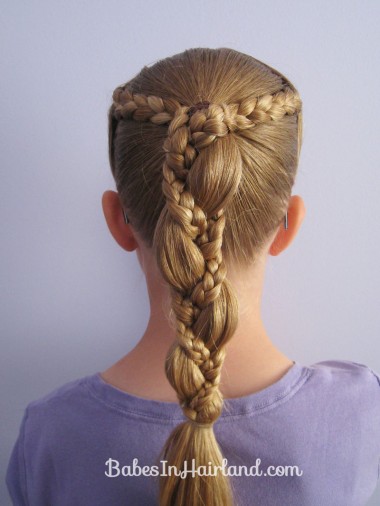 Braid Wrapped Pony