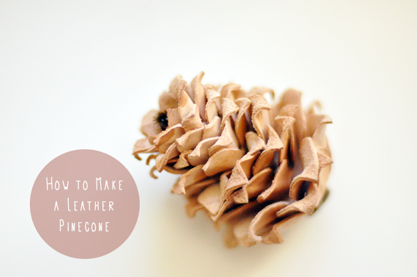 Leather Pine Cone
