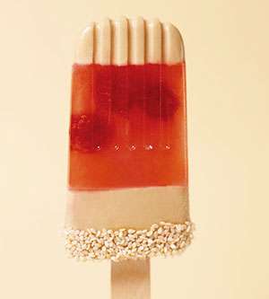 Make Your Own Popsicles