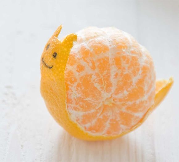 Tangerine Snail