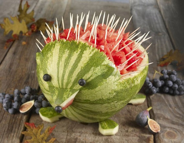 Watermelon Porcupine 
