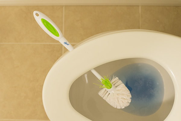 Easily Dry Out Your Toilet Brush