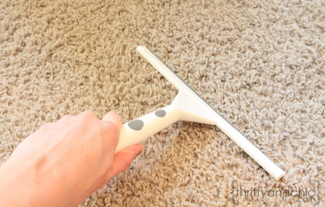Squeegee Your Rugs to Remove Pet Hair