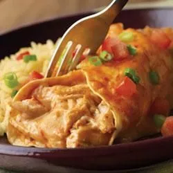 Chicken and Cheese Enchiladas