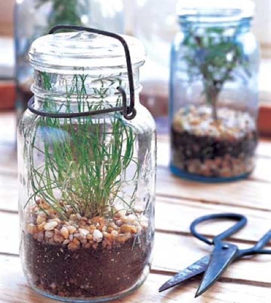 Indoor Gardening: Herb Gardens