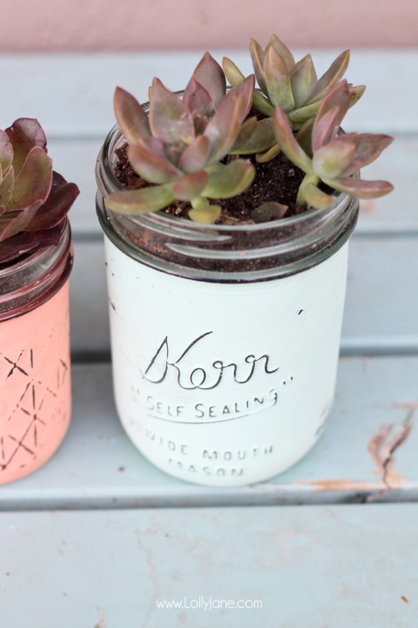 Pretty Succulent Planters