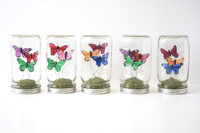 Make Faux Butterfly Terrariums
