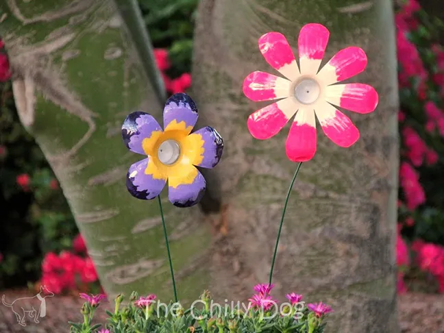 Water Bottle Flowers    