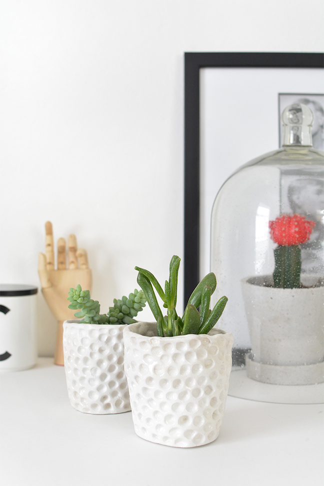 Bubble Wrap Succulent Planter