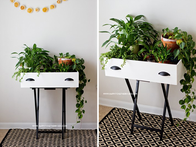 Plant Stand