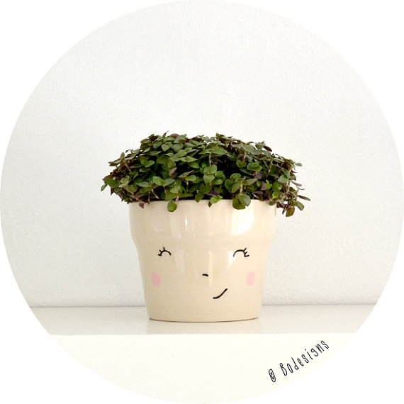 Bodesigns Smiling Flowerpot