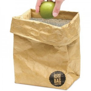 Tyvek Brown Paper Insulated Lunch Bag