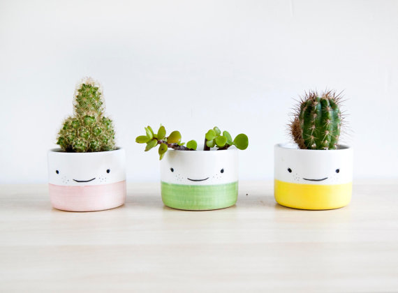 Noemarin Succulent Planter