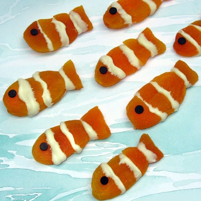 Apricot Clown Fish