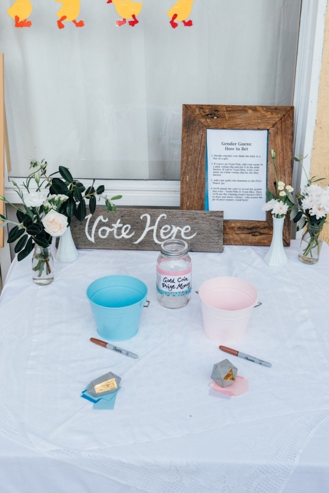 Gender Reveal Ballot and Lottery Game