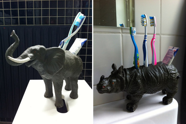 Wild Toothbrush Caddy