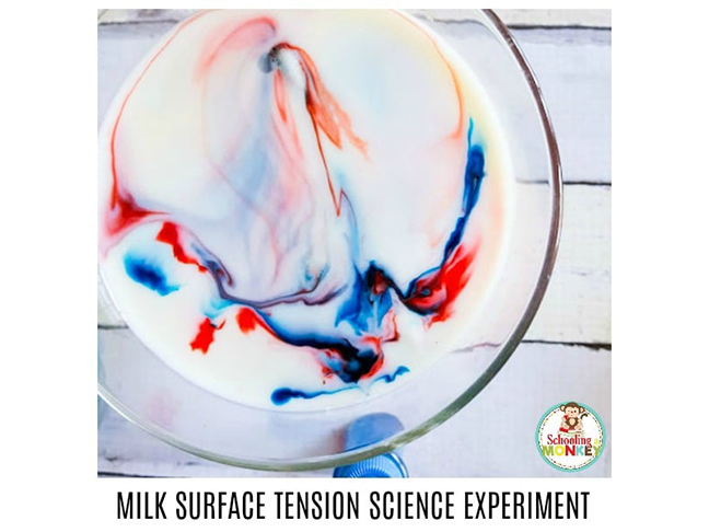 Surface Tension Experiment