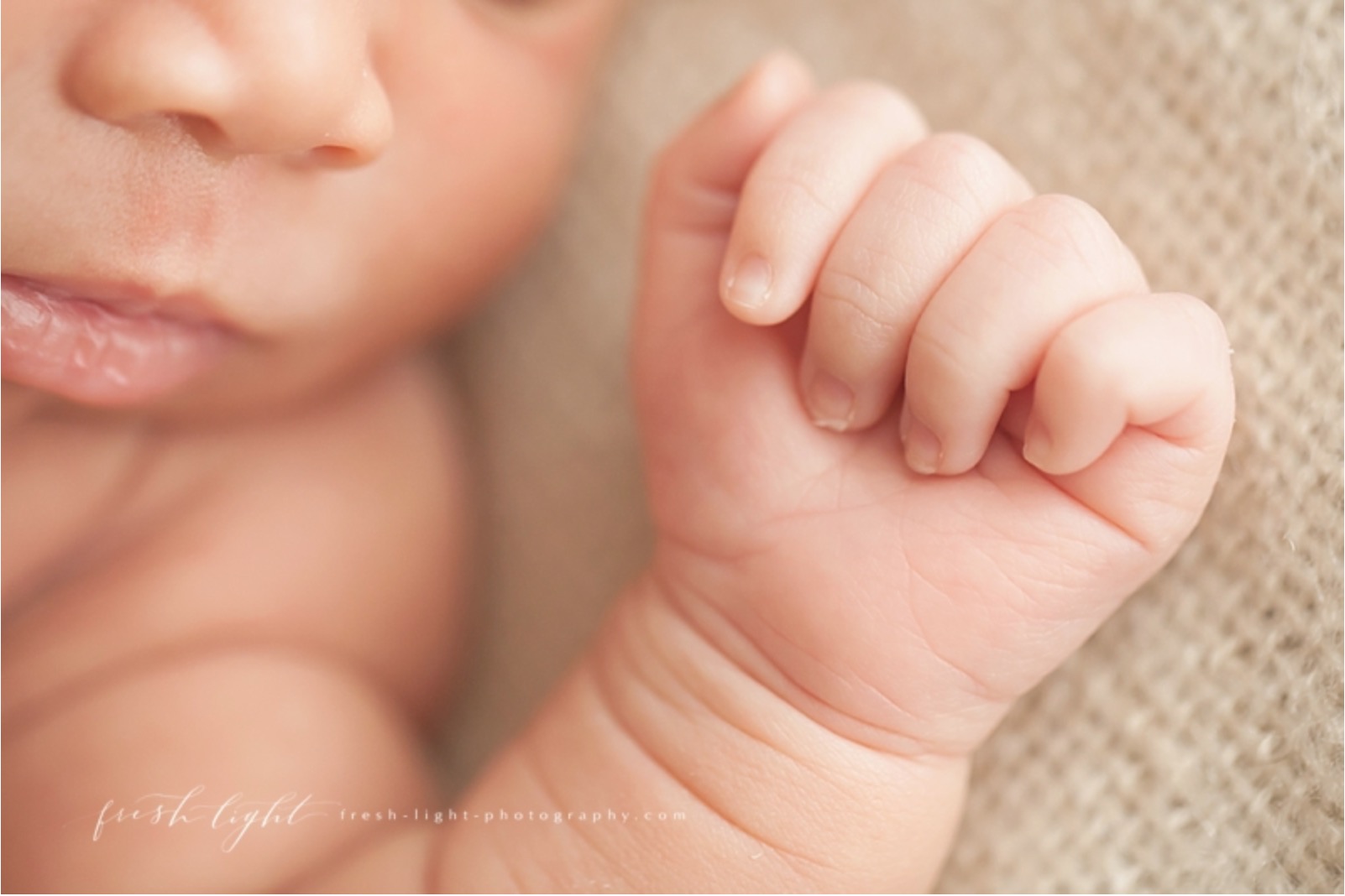 Macro Mini Newborn Baby Pictures