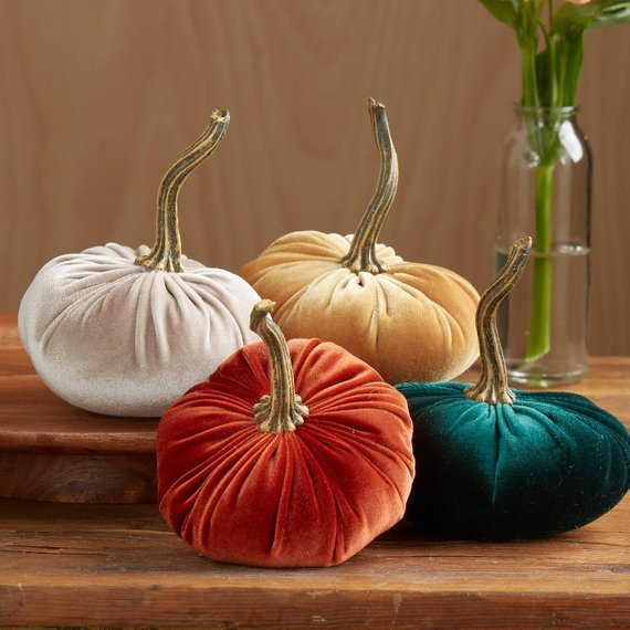 Velvet Pumpkins