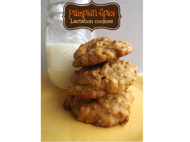 Pumpkin Spice Lactation Cookies