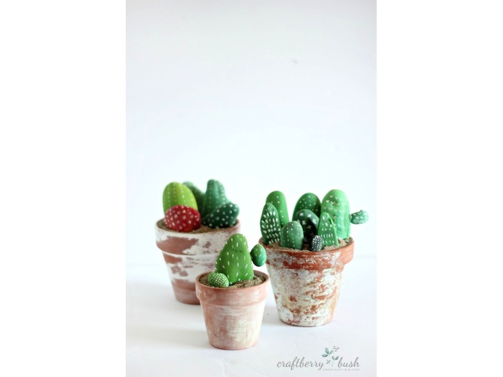 DIY Cactus Rocks