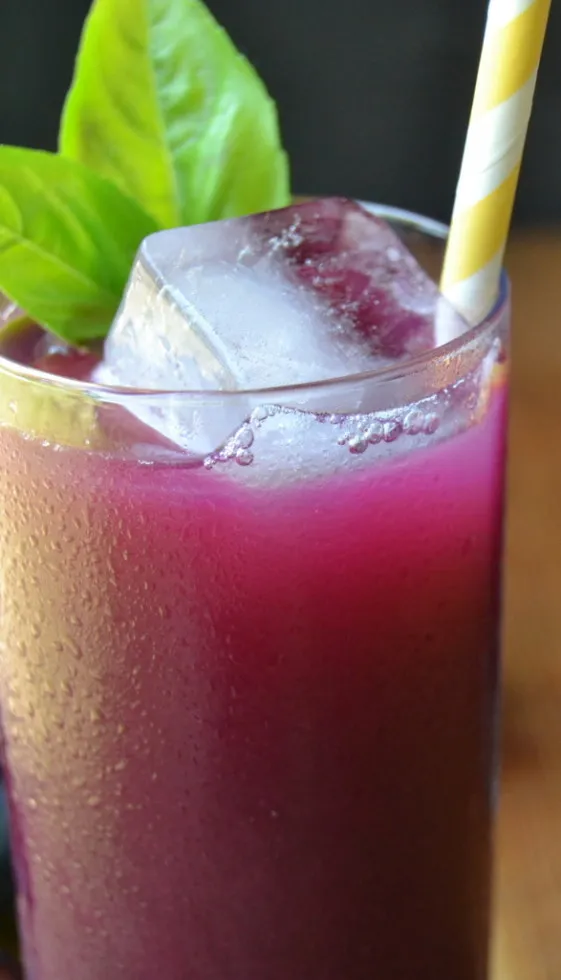 Homemade Sugar-Free Grape Soda